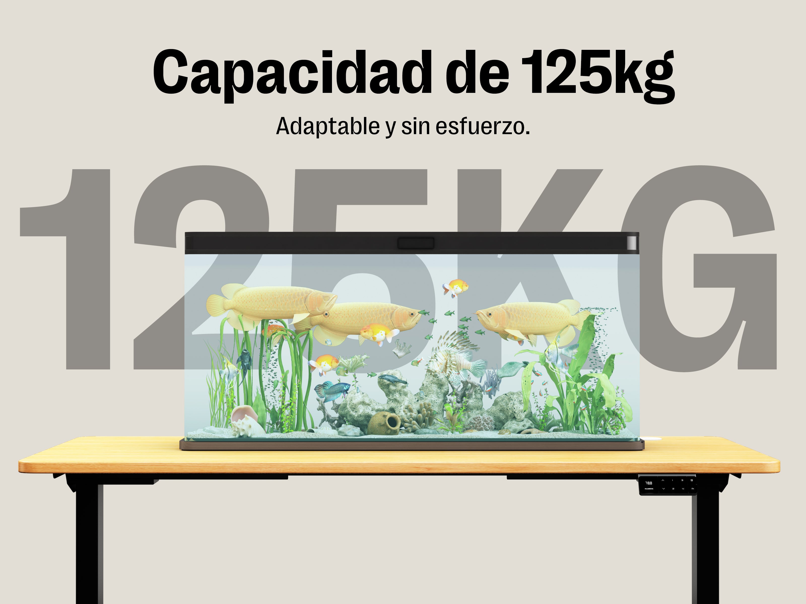Maidesite Marco de Escritorio Elevable Regulable en Altura T2