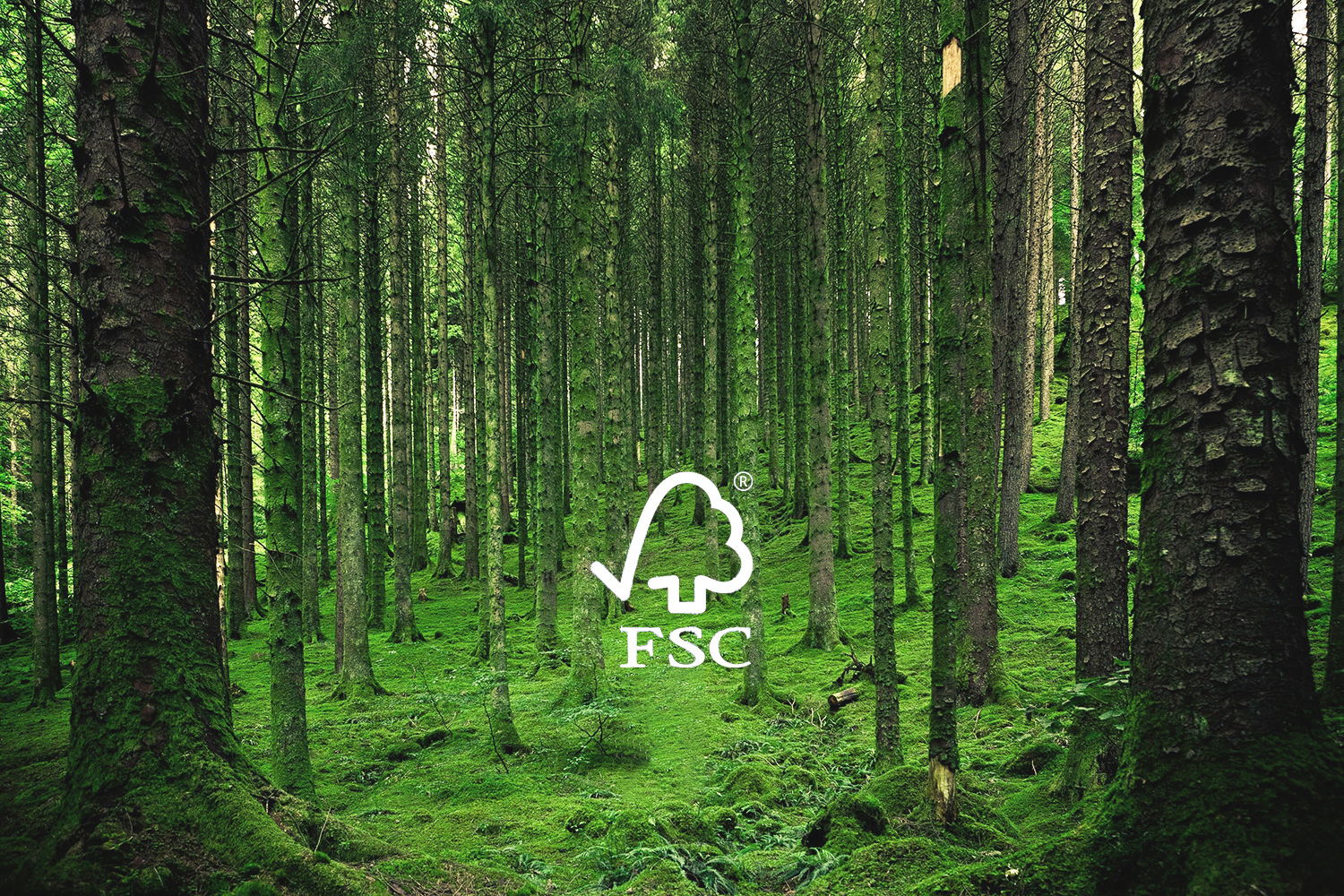 <p>Sostenibilidad con certificación FSC</p>